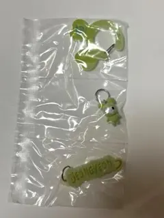 TWICE ジョンヨン　ラブリー　アクリルカラビナフロッキーマスコット　ガチャ