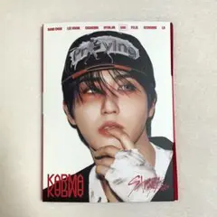 【24時間以内発送可能】 StrayKids KARMA accordion ②