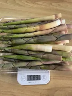 かあかあ様専用！のサムネイル