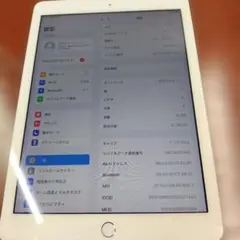 iPad 第5世代 32GB 本体　10.9インチ