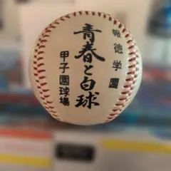 GILBERT ラグビーボール 目黒学院 公式球 M.R.F.C. - メルカリ
