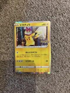 ポケパークのピカチュウ PROMO PCG-Pプロモカード 043/PCG-P - メルカリ