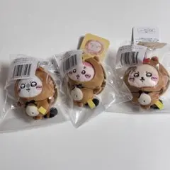 モモンガ　古本屋　ラッコ　セット　たぬきだもんくじ　C賞