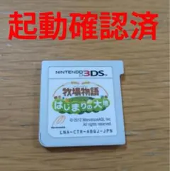 【起動確認済】牧場物語 はじまりの大地