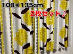 スミノエ★花柄 カーテン ケイランサス 100×135cm 2枚 形状記憶 遮光
