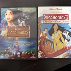 チェコアニメ ティールロヴァー DVD 2本セット - メルカリ