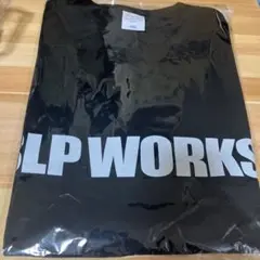 Item thumbnail for item 1ee15017-cf91-4fa6-9943-4590f30f803e