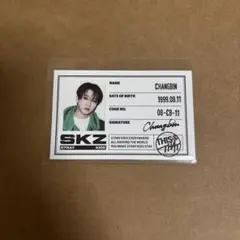 Stray Kids チャンビン トレカ おまけ付き