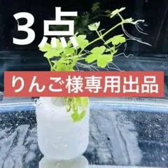 りんご様 リクエスト 3点まとめ買い