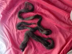 Item thumbnail for item 10d9891c-0b50-4f0c-8f72-8d43e834dd7f