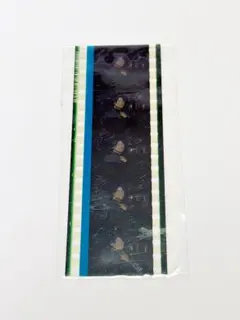 Item thumbnail for item 12b44cab-6f45-4170-9ae8-12512cf64748