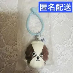 Maison terrier メゾンテリア カラフルマルチチャーム フィナンシェ