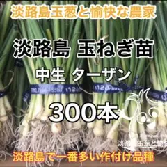 2025年最新】たまねぎ苗の人気アイテム - メルカリ