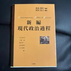 현대 정치 프로세스 신간