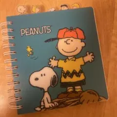 Item thumbnail for item fb36e264-0fce-4514-9684-d4cea1db1b97