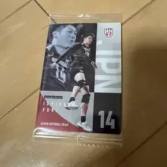 石川祐希 ISHIKAWA YUKI バレーボール日本代表 トレカ