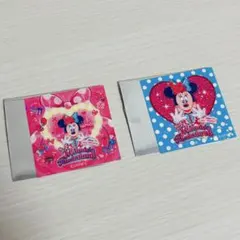 ミニー　ファンダーランド　パルパルーザ　シール　ステッカー　2点セット