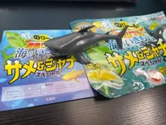 最強リアル 海のいきもの サメ＆シャチ ホホジロザメ