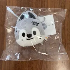 Stray Kids SKZOO ウルフチャン ネームバッグチャーム バンチャン