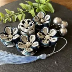 Item thumbnail for item 2e08a4ed-171d-4eec-8a36-69ee28c5ed37