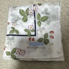 Item thumbnail for item cf72bafc-4e50-45fc-8372-5ca4b81cc777