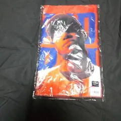 Item thumbnail for item e2bcb46c-7596-43dd-9aca-c917fa437827