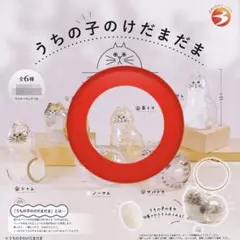 うちの子のけだまだま　茶トラ