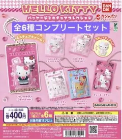 Maki様専用 HELLO KITTY パッケージミニチュアコレクション