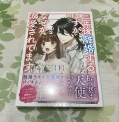 三年後離婚するはずが、なぜか溺愛されてます 1
