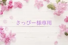 さっぴー様専用
