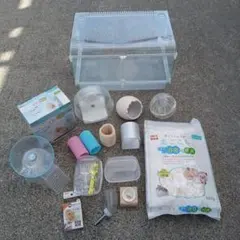 Item thumbnail for item 89ef515c-a006-4074-bb11-8921cecec0f9