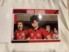 Item thumbnail for item 0181b63f-ead0-4638-8e52-05d04e7cf52f