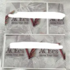 ACEes "V" 有明アリーナ 半券 塗りつぶしなし 2枚セット　7/11昼夜