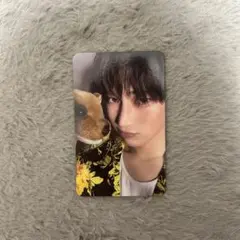 ENHYPEN DESIRE:UNLEASH トレカ ソヌ