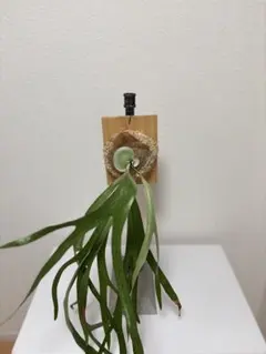 良土良根様 リクエスト 2点 まとめ商品