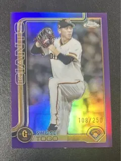 Item thumbnail for item 611a70e5-70ef-4240-a823-5e6c22e8ad19