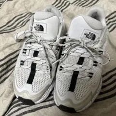 Item thumbnail for item 481a931d-e983-4038-9d48-35104fa7453c