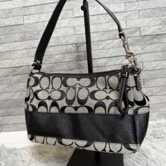 極美品 Coach コーチ アクセサリーポーチ グレー シグネチャー 6094