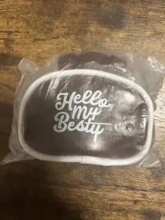 Hello My 'BESTY' vol.2 ミニボストン　福岡　ブラウン