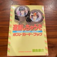 逮捕しちゃうぞ セカンドシーズン part.1 新品未開封 box カード Amazon.co.jp: 逮捕しちゃうぞ SECOND SEASON DVDメモリアル
