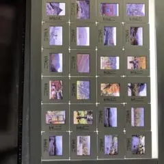 Item thumbnail for item 6803385c-c272-4200-9b25-0436e16afdb8