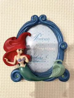 2025年最新】アリエル フォトフレームの人気アイテム - メルカリ