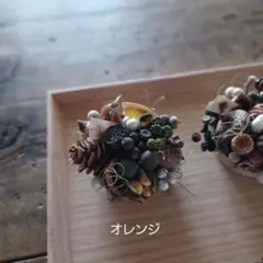 Petite・Foret ～木の実のタルト～【オレンジ】ドライフラワー リース