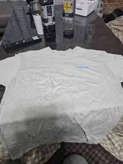 Item thumbnail for item 261c670e-aa6a-47f4-8f71-5df9051480bd