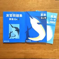 予習シリーズ算数 6年上 解答と解説 演習問題集 四谷大塚