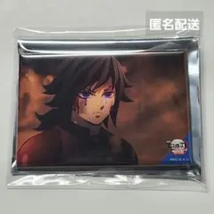 鬼滅の刃　冨岡義勇　全方位コレクション　缶バッジ　無限城編