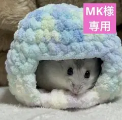 Item thumbnail for item 8892be52-b064-4766-b821-7ce81b51b943