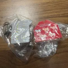 チートシートアクリルチャーム　2個セット