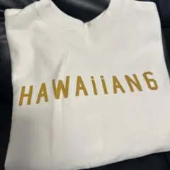 HAWAIIAN6 ホワイトトレーナー Mサイズ
