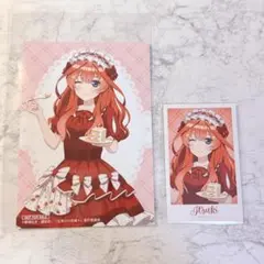 よこにゃんプロフィール確認様 リクエスト 2点 まとめ商品